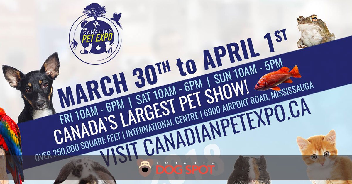Blog_2018_Canadian_Pet_Expo