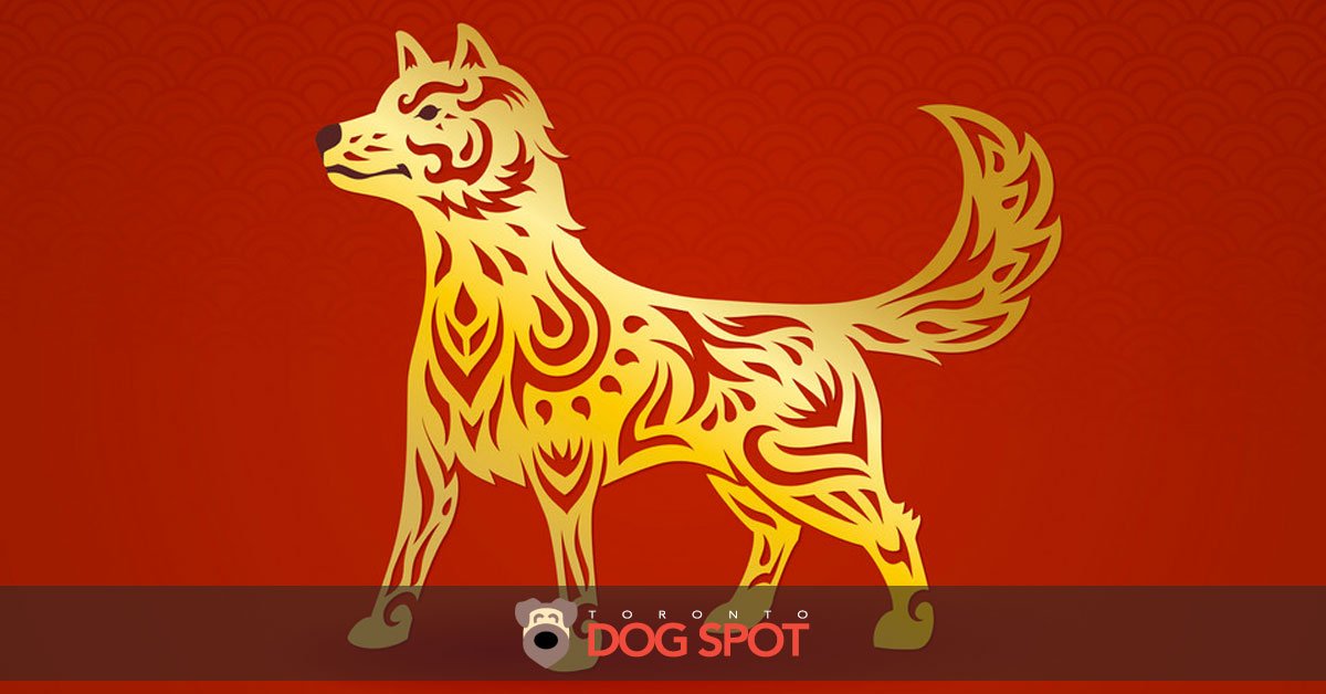 Blog_Chinese_Year_Of_The_Dog