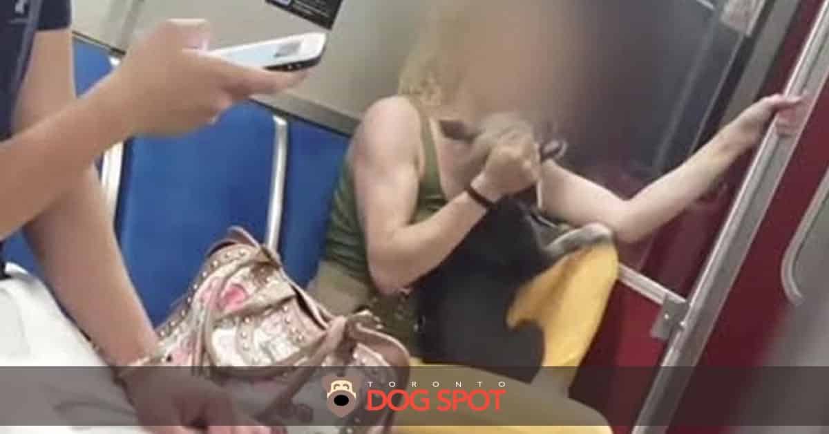 Blog_OSPCA_Takes_Custody_of_Abused_Dog_in_Subway_Video